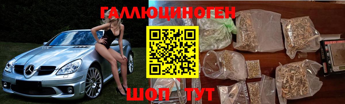 Псилоцибиновые грибы MAGIC MUSHROOMS  Вход с VPN  Казань 